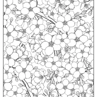 Free Printable Flower Pattern Coloring Page 04
