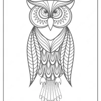 Free Printable Owl Pdf Animals Coloring Page 017