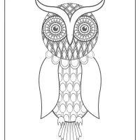 Free Printable Owl Pdf Animals Coloring Page 019