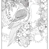 Free Printable Tropical Bird Pdf Coloring Page 21 Free Printable Tropical Bird Pdf Coloring Page