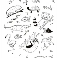 Free Printable Tropical Animals Coloring Pages 18 free printable tropical animals coloring pages