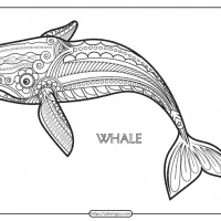 free printable whale mandala pdf coloring page