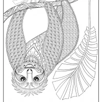 Free Printable Wwf Sloth Pdf Coloring Page 15 free printable wwf sloth pdf coloring page