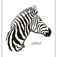 free printable zebra animals coloring pages