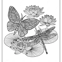 printable butterfly and dragonfly pdf coloring page