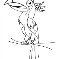 free printable animals bird pdf coloring pages 09