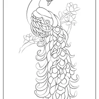 free printable animals bird pdf coloring pages 17