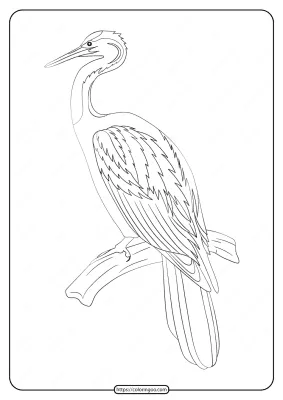 Free Printable Animals Bird Pdf Coloring Pages 18