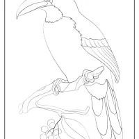free printable animals bird pdf coloring pages 19
