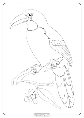 Free Printable Animals Bird Pdf Coloring Pages 19