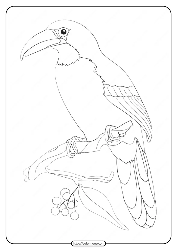 Free Printable Animals Bird Pdf Coloring Pages 19 1 free printable animals bird pdf coloring pages 19