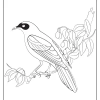 free printable animals bird pdf coloring pages 20