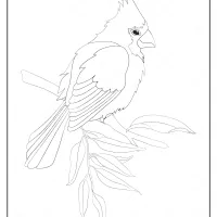 free printable animals bird pdf coloring pages 22
