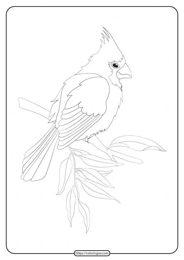free printable animals bird pdf coloring pages 22