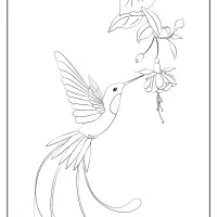 free printable animals bird pdf coloring pages 23
