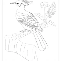 free printable animals bird pdf coloring pages 25