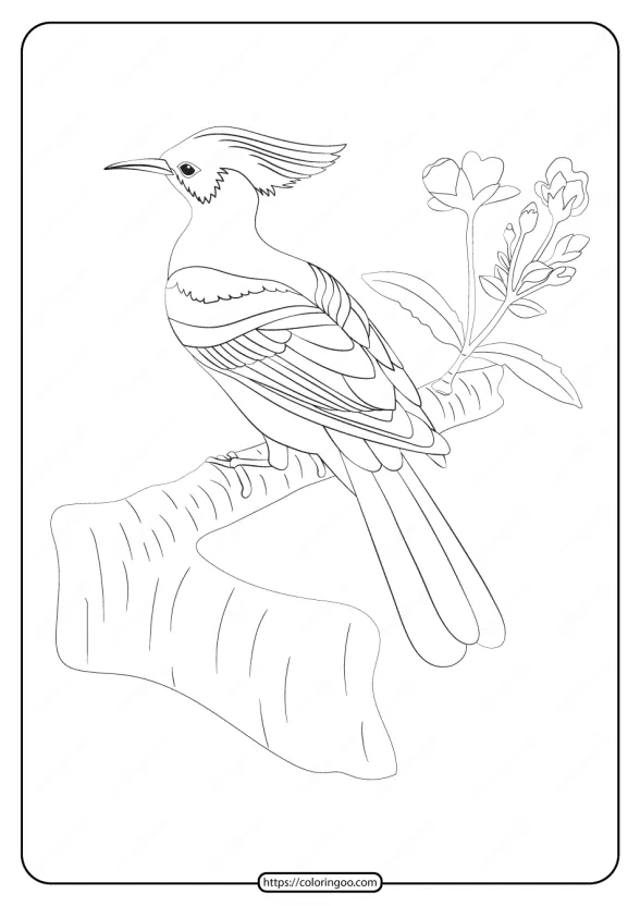 Free Printable Animals Bird Pdf Coloring Pages 25 1 free printable animals bird pdf coloring pages 25
