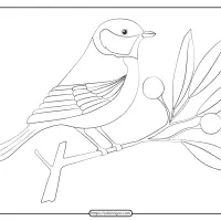 free printable animals bird pdf coloring pages 26