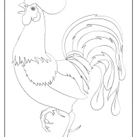 free printable animals cock pdf coloring page