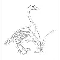 free printable animals goose pdf coloring page