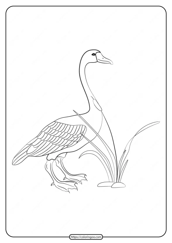 Free Printable Animals Goose Pdf Coloring Page 1 free printable animals goose pdf coloring page