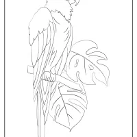free printable animals parrot pdf coloring page