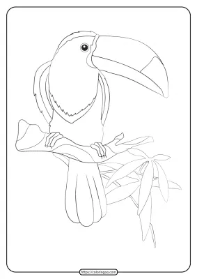 Free Printable Animals Toucan Pdf Coloring Page