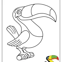 free printable colorful toucan pdf coloring page