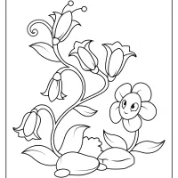 free printable flowers pdf coloring pages 08