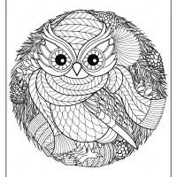 free printable winter owl pdf coloring page