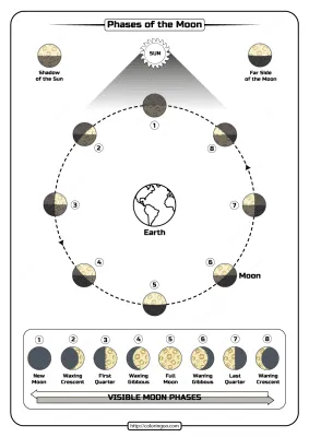 Free Printable Phases of the Moon Pdf Worksheet