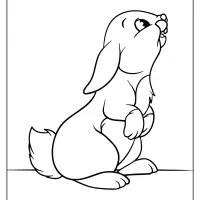 free printable rabbit coloring pages