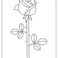 free printable rose coloring pages
