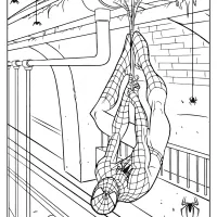 marvel spiderman coloring pages