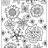 printable basic flower drawings coloring page