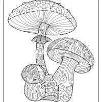 printable mushroom pdf coloring pages