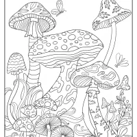 printable mushrooms coloring pages