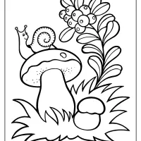 snail on the mushroom coloring pages