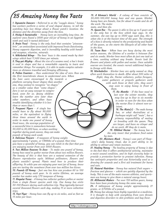25 Amazing Honey Bee Facts Worksheet 1 25 amazing honey bee facts worksheet