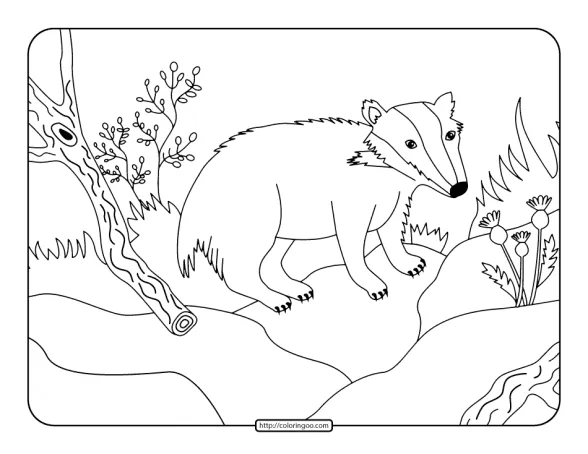 Badger in the Forest Coloring Page 1 badger in the forest coloring page