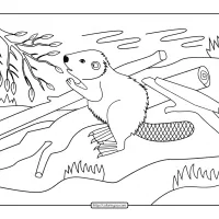 Beaver Coloring Pages for Boys 22 Beaver Coloring Pages for Boys