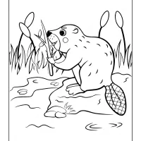Beaver in the Riverside Coloring Page 15 beaver in the riverside coloring page