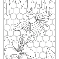 Bee and Honey Adult Coloring Pages 18 bee and honey adult coloring pages