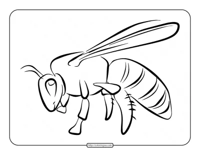 Bee Coloring Page for Kids
