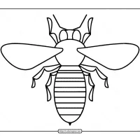 Bee Coloring Sheet 16 bee coloring pages