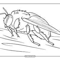 Bumblebee Coloring Page 21 bumblebee coloring page