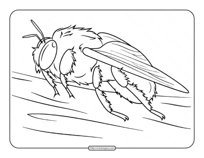 Bumblebee Coloring Page