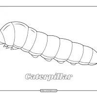 easy caterpillar coloring page