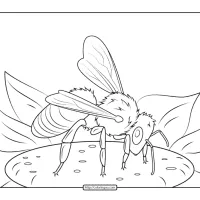 European Honeybee Coloring Page 12 european honeybee coloring page