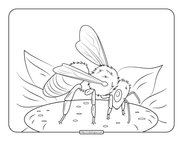 European Honeybee Coloring Page 1 european honeybee coloring page
